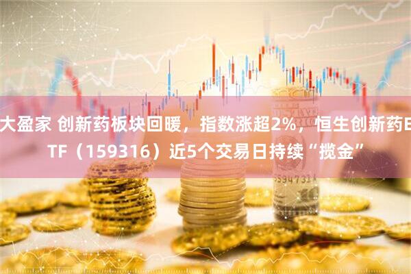 大盈家 创新药板块回暖，指数涨超2%，恒生创新药ETF（159316）近5个交易日持续“揽金”