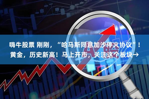 嗨牛股票 刚刚，“哈马斯同意加沙停火协议”！黄金，历史新高！马上开市，关注这个板块→