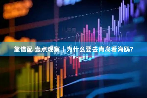 靠谱配 壹点观察｜为什么要去青岛看海鸥?