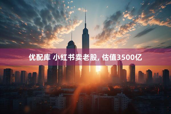 优配库 小红书卖老股, 估值3500亿